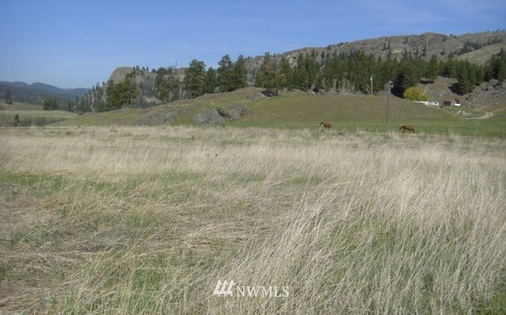 -tbd Aeneas Valley Road Tonasket, WA 98855 - Photo 11 of 13 Gallery Image 11