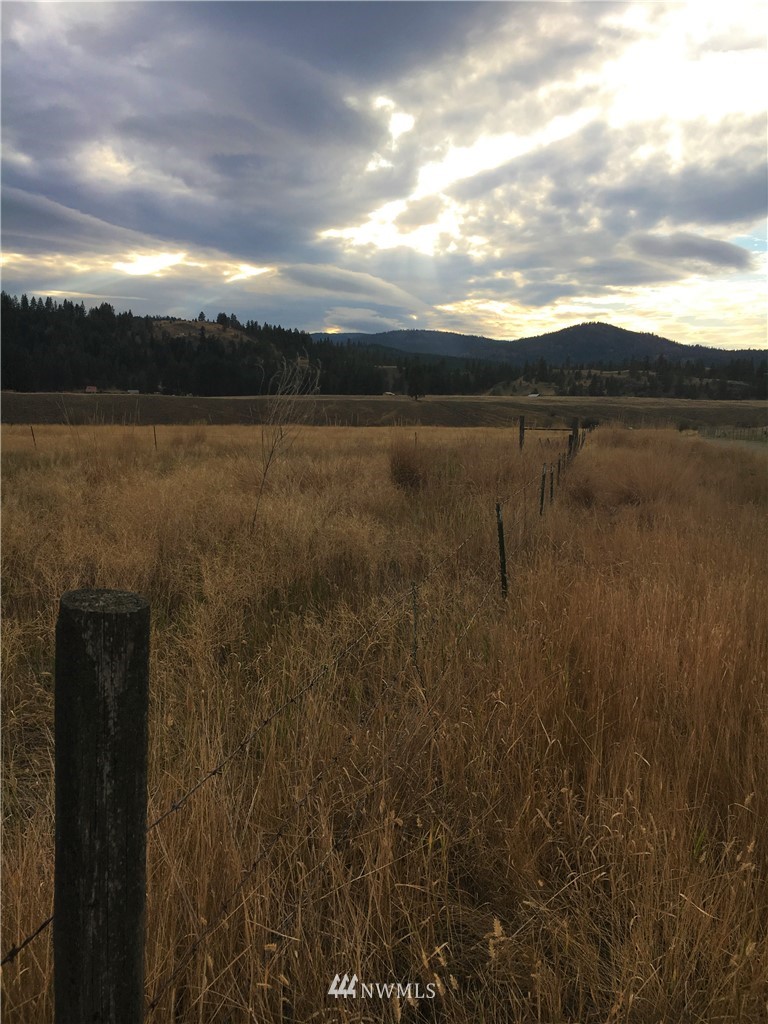 -tbd Aeneas Valley Road Tonasket, WA 98855 - Photo 12 of 13 Gallery Image 12