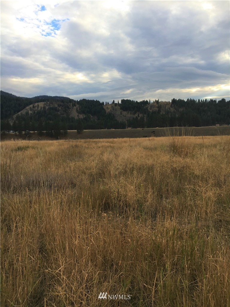 -tbd Aeneas Valley Road Tonasket, WA 98855 - Photo 13 of 13 Gallery Image 13