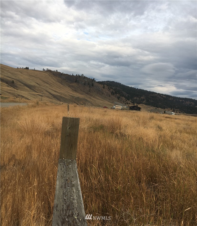 -tbd Aeneas Valley Road Tonasket, WA 98855 - Photo 5 of 13 Gallery Image 5