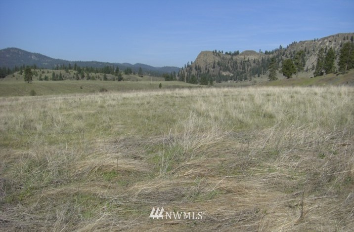 -tbd Aeneas Valley Road Tonasket, WA 98855 - Photo 7 of 13 Gallery Image 7