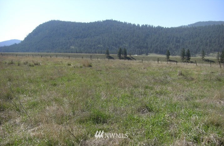 -tbd Aeneas Valley Road Tonasket, WA 98855 - Photo 8 of 13 Gallery Image 8