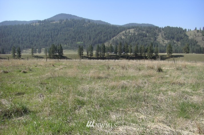 -tbd Aeneas Valley Road Tonasket, WA 98855 - Photo 9 of 13 Gallery Image 9