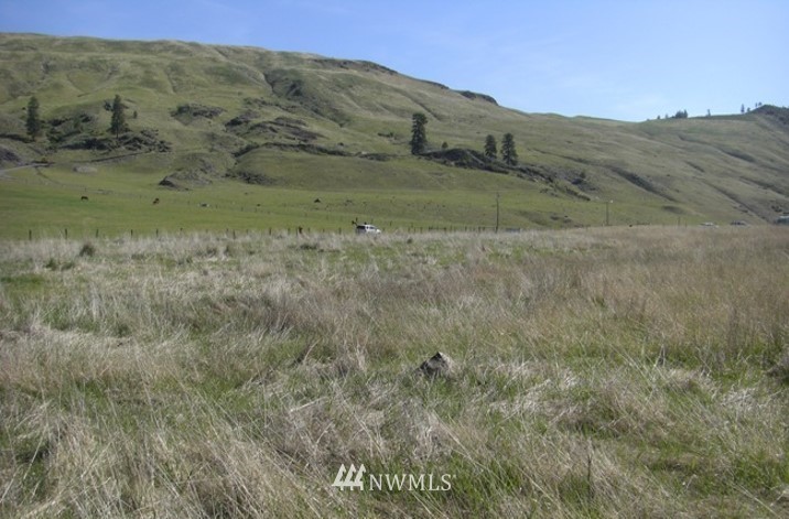 -tbd Aeneas Valley Road Tonasket, WA 98855 - Photo 10 of 13 Gallery Image 10
