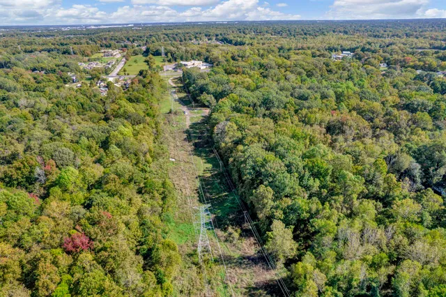 a view of a city with lush green forest