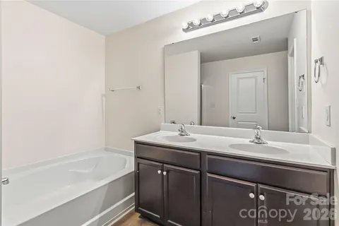 a bathroom with a sink and a bathtub