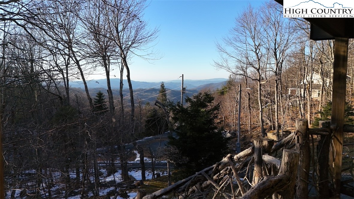 140 Spruce Hollow Road Beech Mountain, NC 28604 - Photo 46 of 50