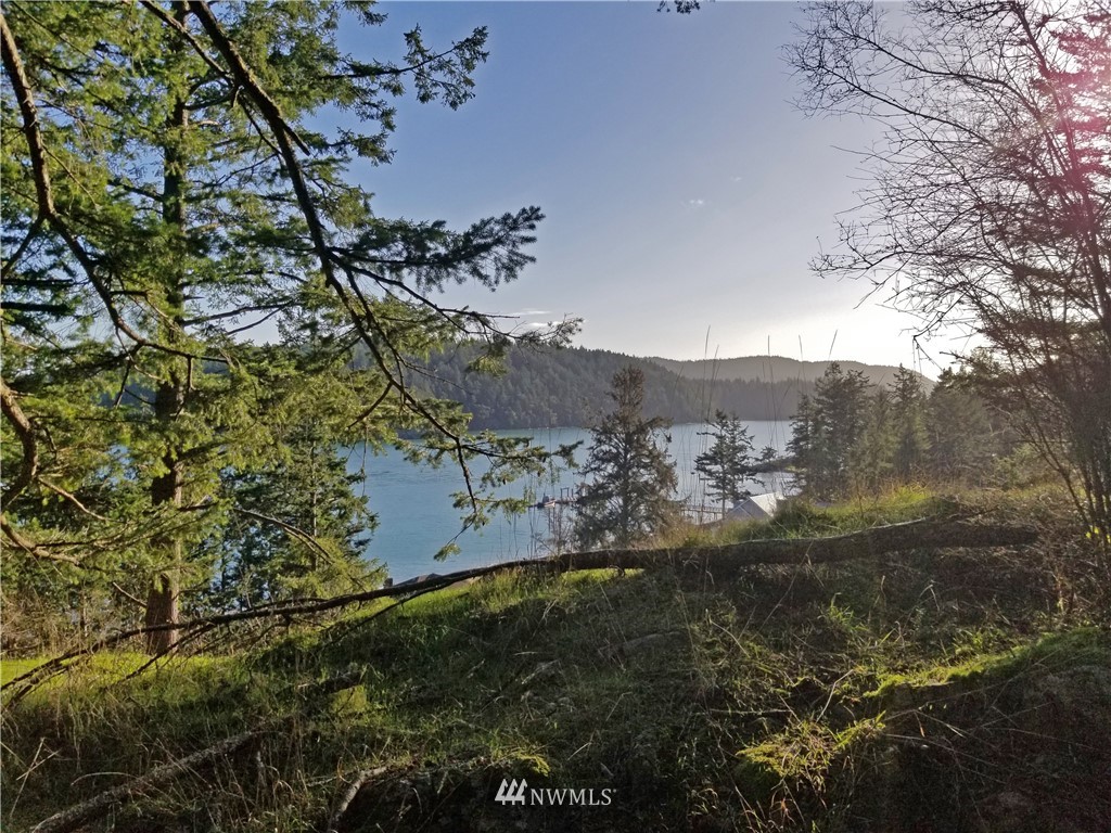 2044 Obstruction Pass Road Orcas Island, WA 98279 - Photo 39 of 40 Gallery Image 39