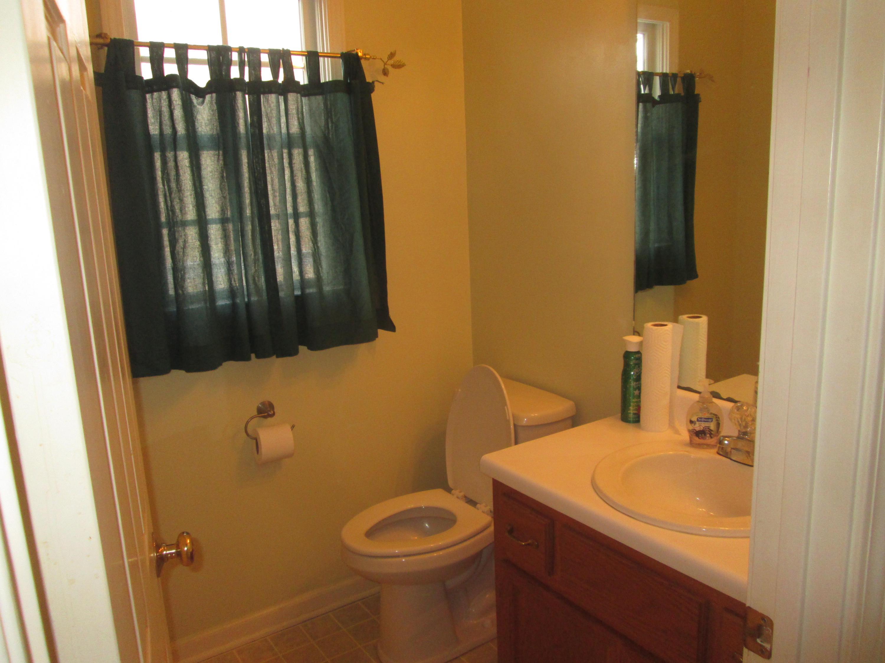 1553 Archway Road Blue Ridge, VA 24064 - Photo 12 of 26 Entry Level 1/2 bath