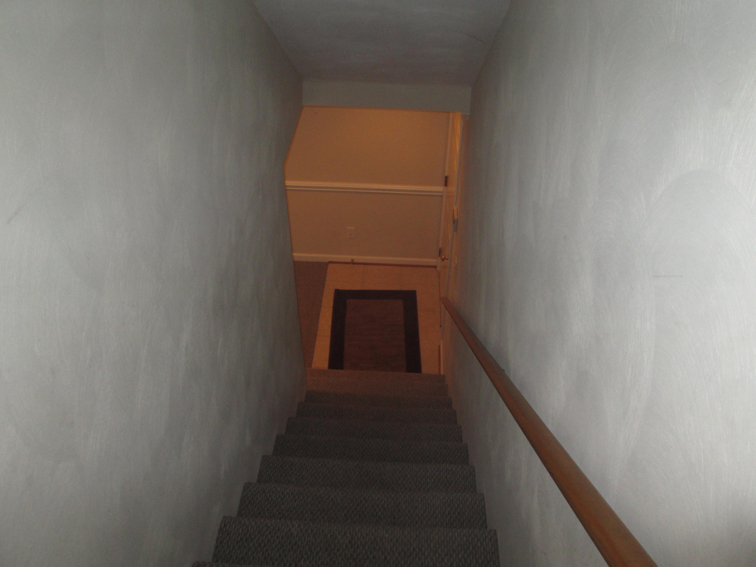 1553 Archway Road Blue Ridge, VA 24064 - Photo 14 of 26 Lower Level Stairs