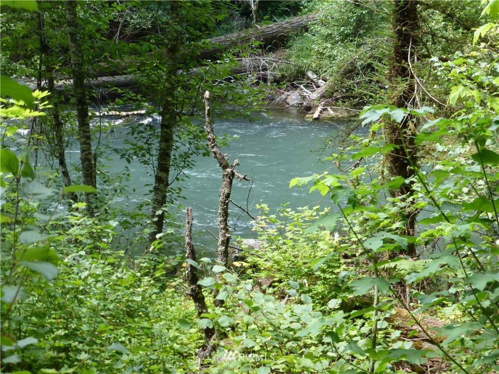 -xxx Xxx Oak Ridge Road White Salmon, WA 98672 - Photo 15 of 24 Gallery Image 15