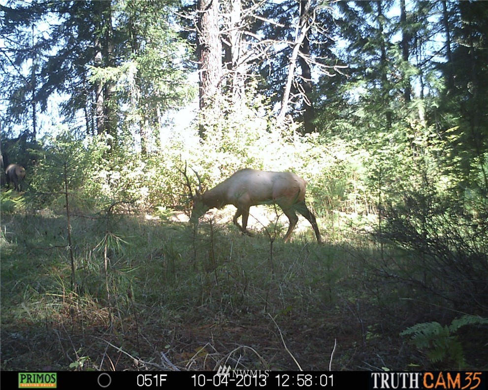 -xxx Xxx Oak Ridge Road White Salmon, WA 98672 - Photo 17 of 24 Gallery Image 17