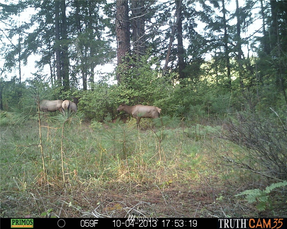 -xxx Xxx Oak Ridge Road White Salmon, WA 98672 - Photo 18 of 24 Gallery Image 18