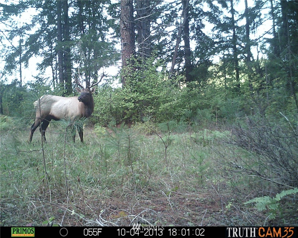 -xxx Xxx Oak Ridge Road White Salmon, WA 98672 - Photo 19 of 24 Gallery Image 19