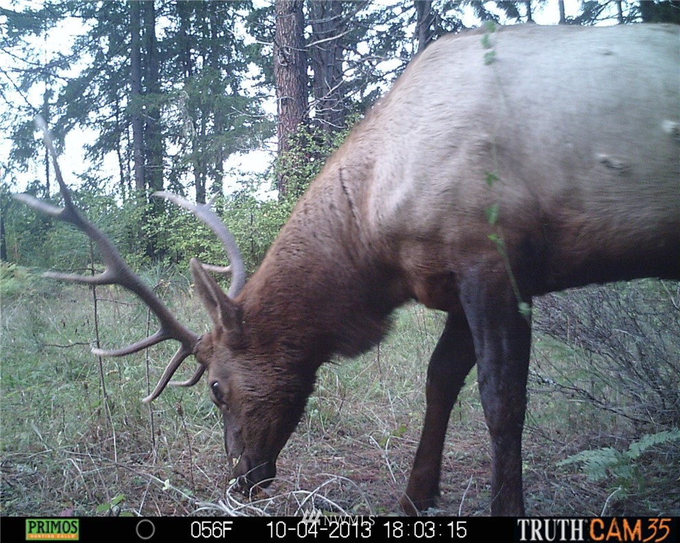 -xxx Xxx Oak Ridge Road White Salmon, WA 98672 - Photo 20 of 24 Gallery Image 20