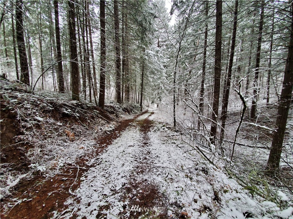 -xxx Xxx Oak Ridge Road White Salmon, WA 98672 - Photo 3 of 24 Gallery Image 3