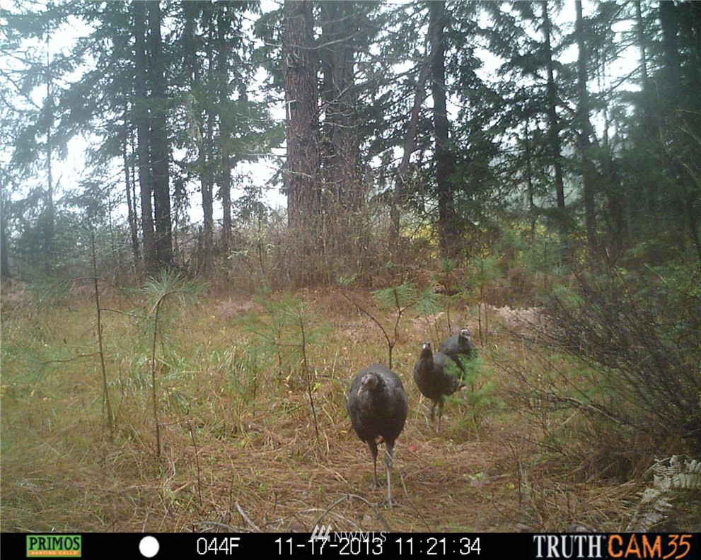 -xxx Xxx Oak Ridge Road White Salmon, WA 98672 - Photo 22 of 24 Gallery Image 22