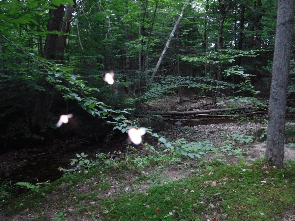 110 Isthmus Road Rumford, ME 04276 - Photo 31 of 41 #31 more of brook area