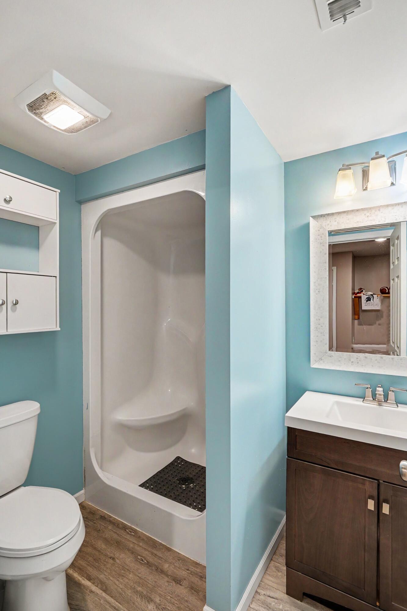 10464 Hankerd Road Pleasant Lake, MI 49272 - Photo 19 of 28 Basement Bath