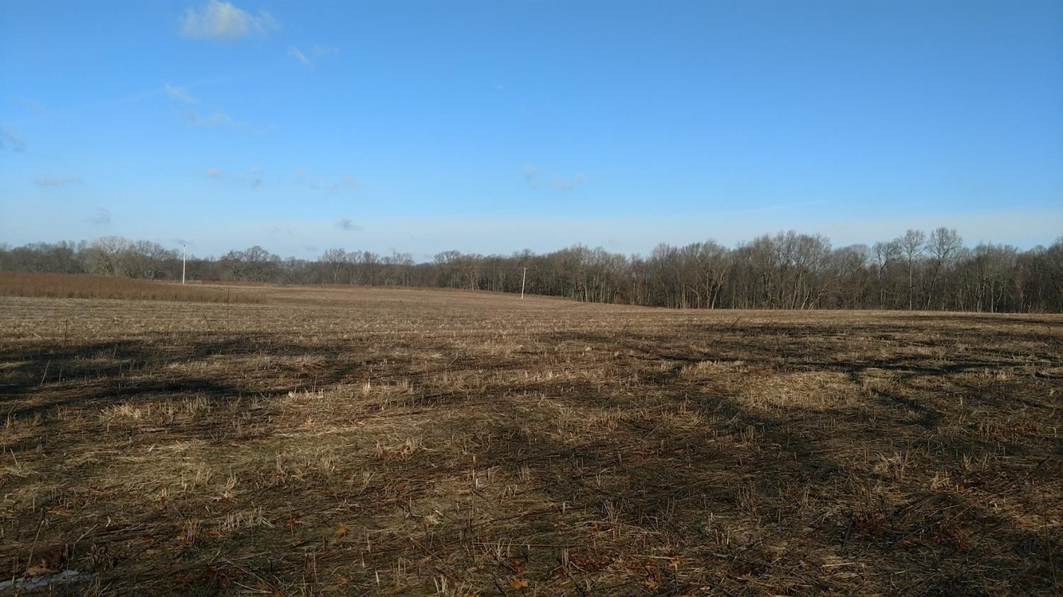 0 Stofer Parcel E Road Chelsea, MI 48118 - Photo 2 of 2 Photo 2