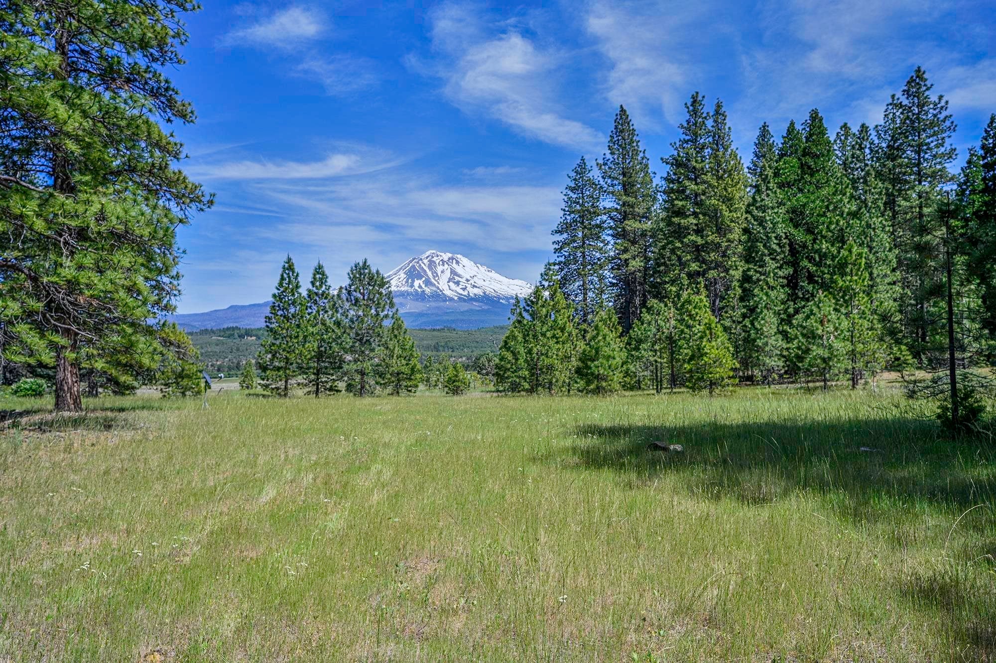 3333 Shasta Valley Road Weed, CA 96094 - Photo 21 of 24 Gallery Image 21