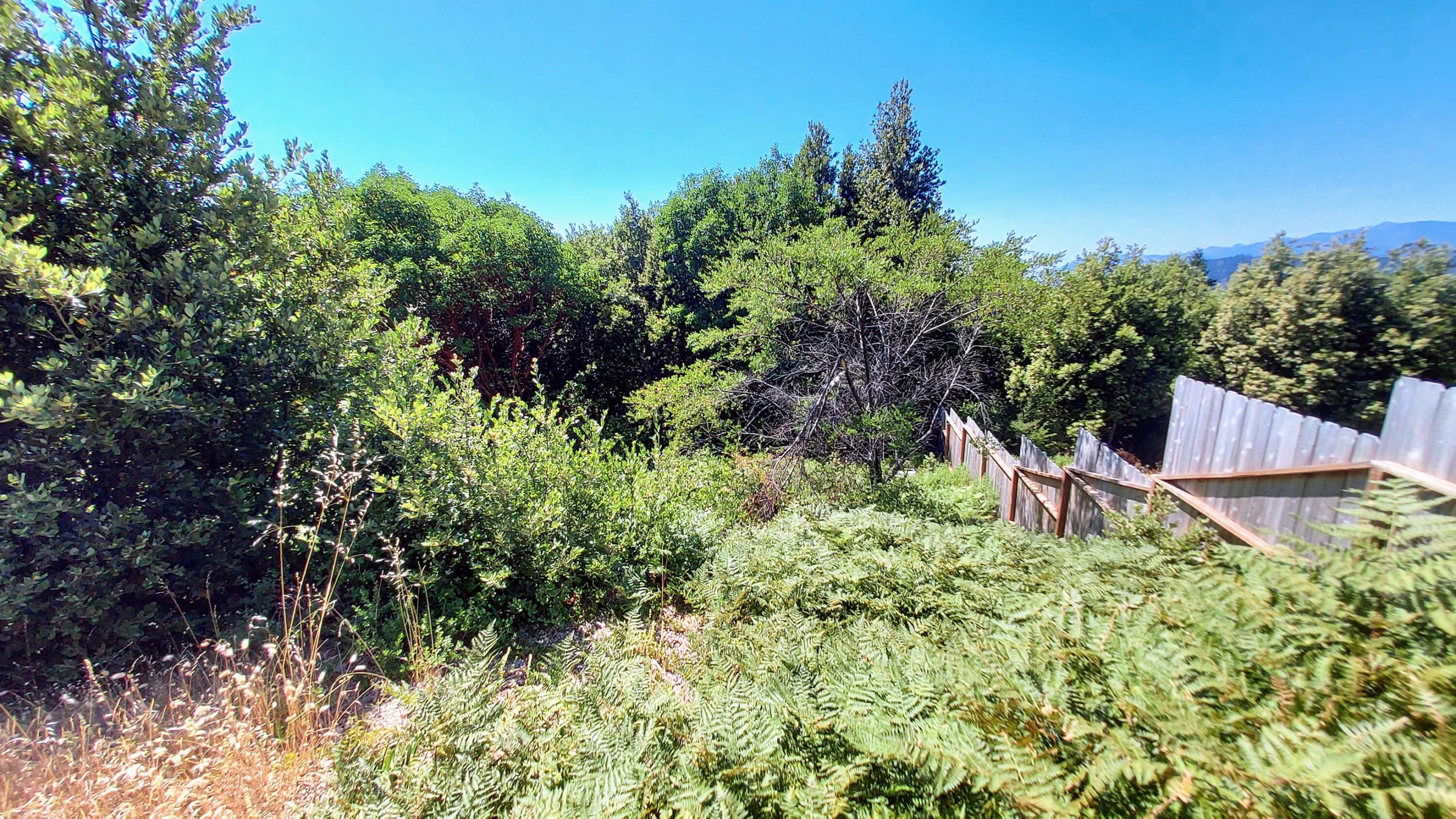27 Cook Road Shelter Cove, CA 95589 - Photo 10 of 22