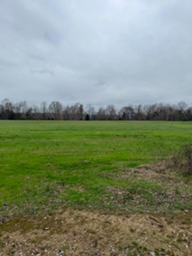 0 Westbrook Road Bowling Green, KY 42101 - Photo 3 of 4 Gallery Image 3