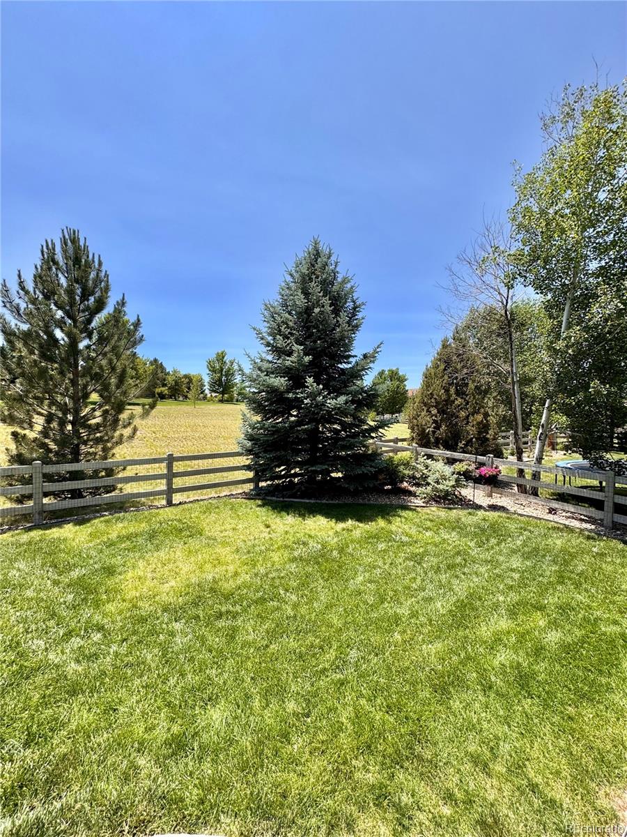 2896 Gemini Loop Broomfield, CO 80023 - Photo 46 of 49 a view of a yard with yellow house in the background