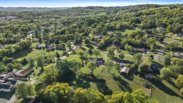 a view of a forest with a street
