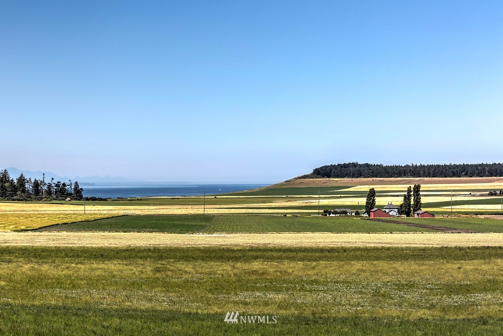 1095 Burchell Road Coupeville, WA 98239 - Photo 4 of 25 Gallery Image 4