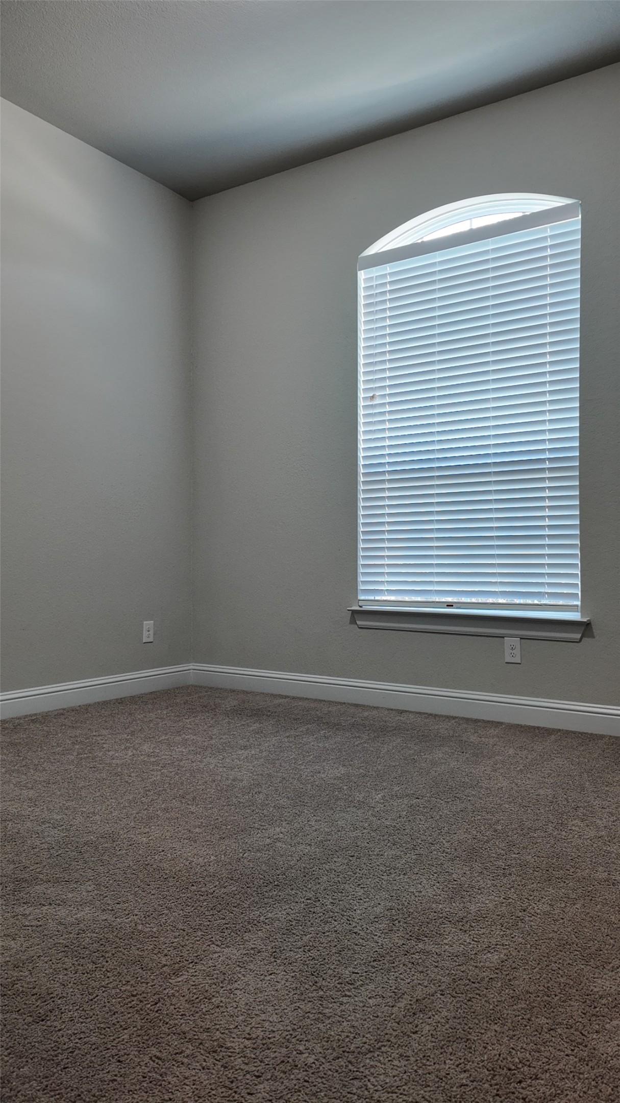 2320 Base Burner Path Leander, TX 78641 - Photo 6 of 24 Natural light filters through the arched window, illuminating the plush carpeted floor.