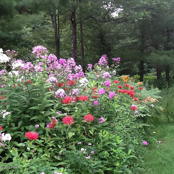 186 Pedersen Ridge Road Milford, PA 18337 - Photo 37 of 41 Front yard