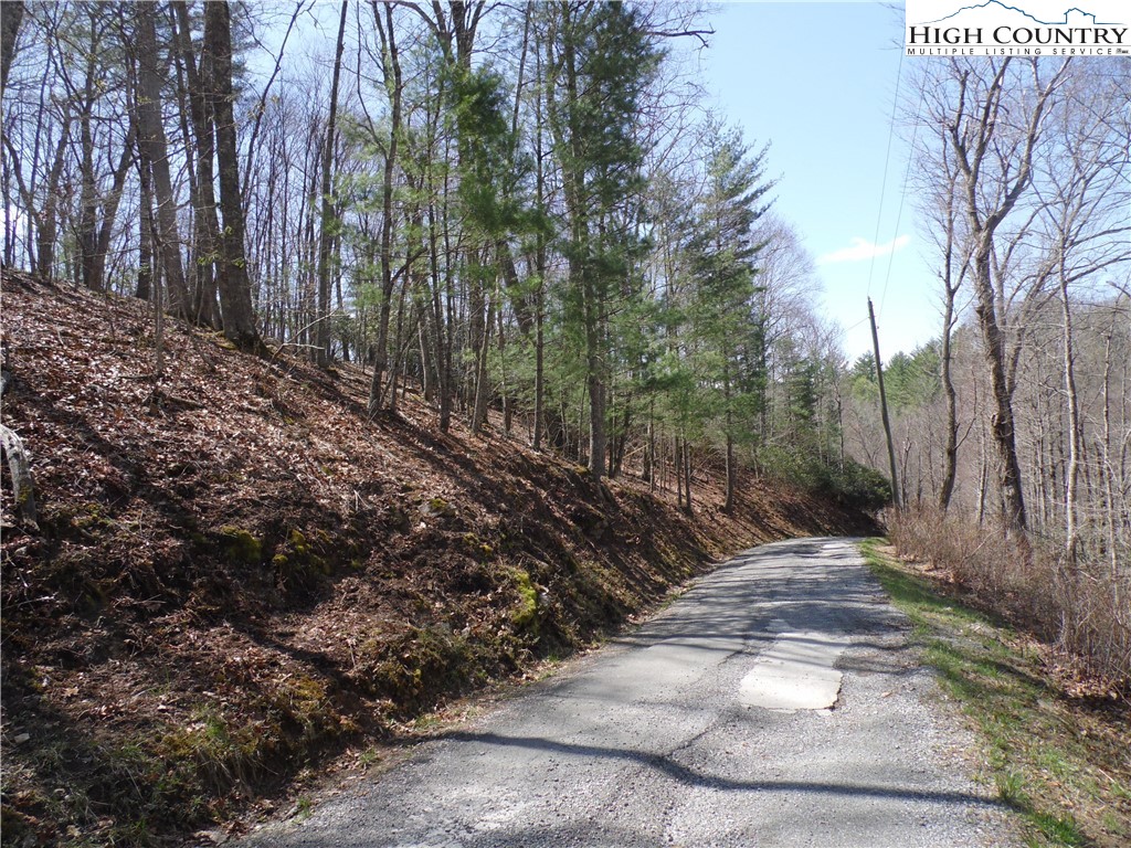 31-32 Happy Ridge Road, Unit 3132 Grassy Creek, NC 28631 - Photo 11 of 14