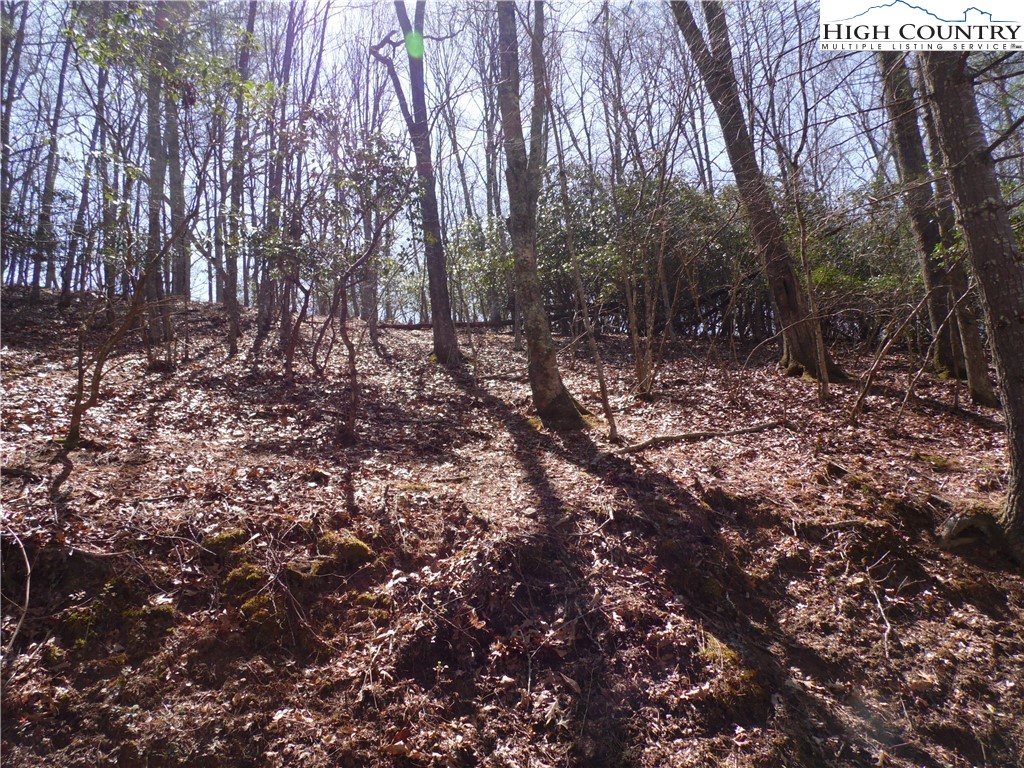 31-32 Happy Ridge Road, Unit 3132 Grassy Creek, NC 28631 - Photo 12 of 14