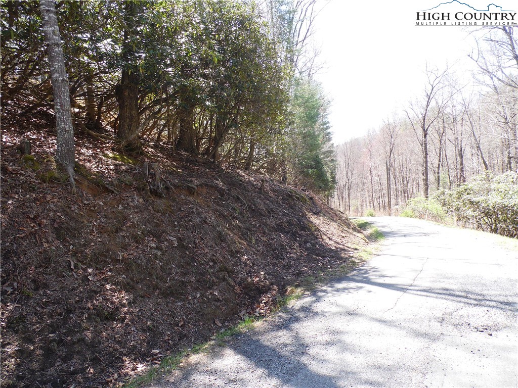 31-32 Happy Ridge Road, Unit 3132 Grassy Creek, NC 28631 - Photo 4 of 14