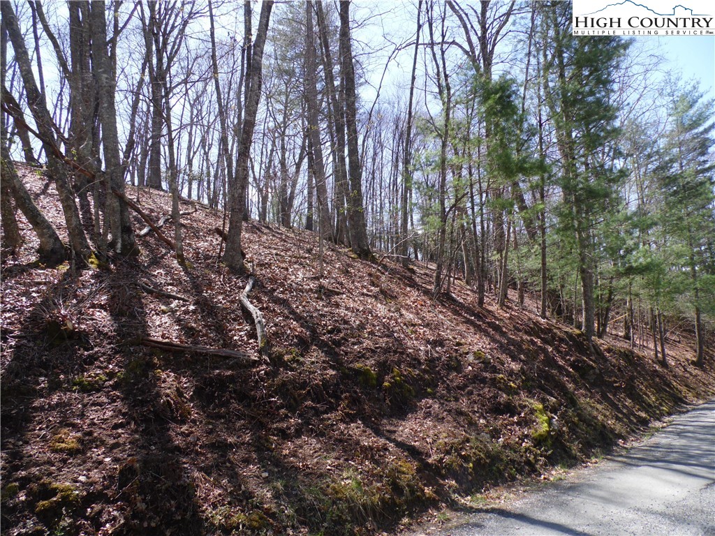 31-32 Happy Ridge Road, Unit 3132 Grassy Creek, NC 28631 - Photo 5 of 14