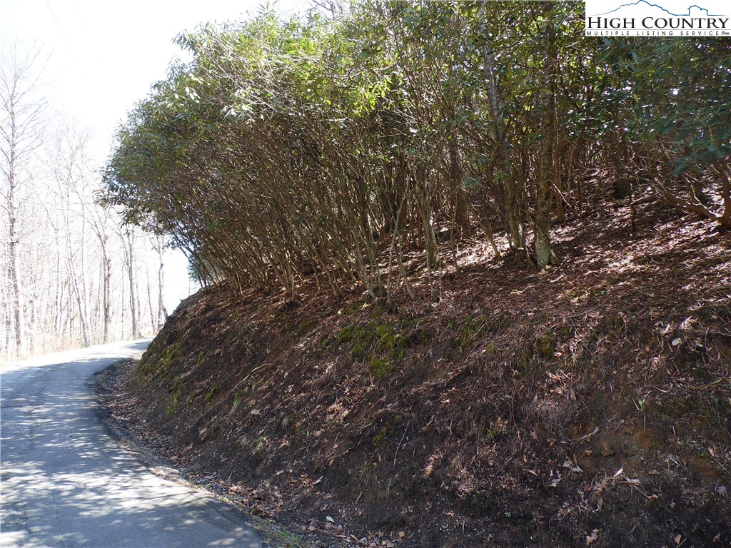 31-32 Happy Ridge Road, Unit 3132 Grassy Creek, NC 28631 - Photo 7 of 14