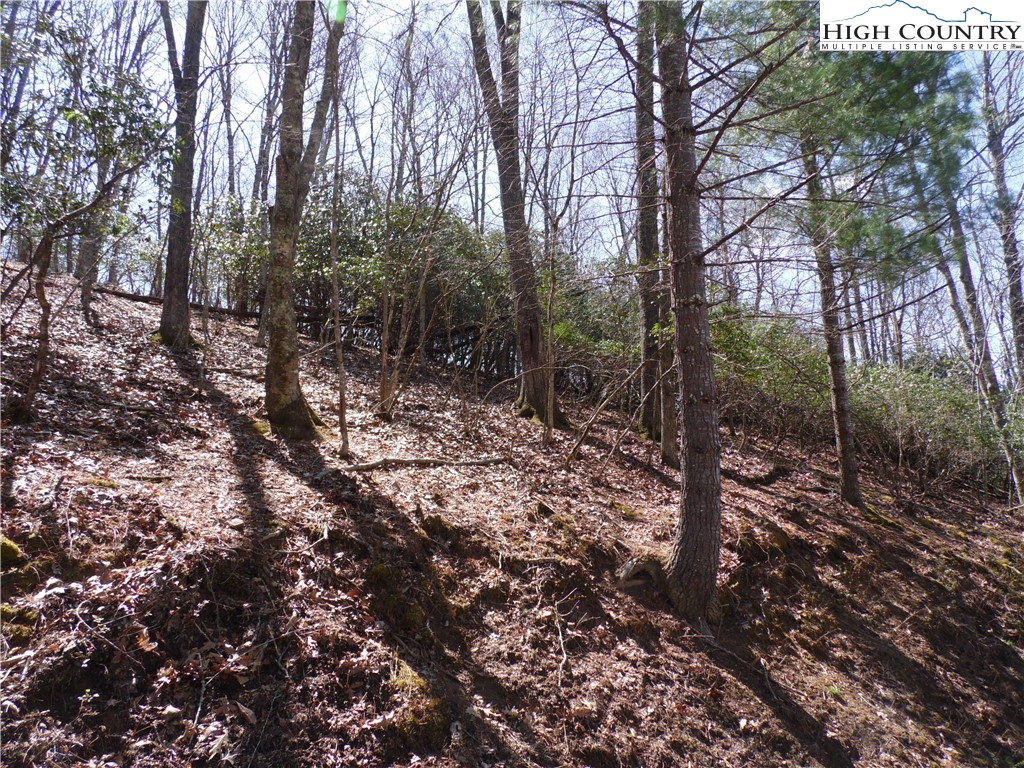 31-32 Happy Ridge Road, Unit 3132 Grassy Creek, NC 28631 - Photo 8 of 14