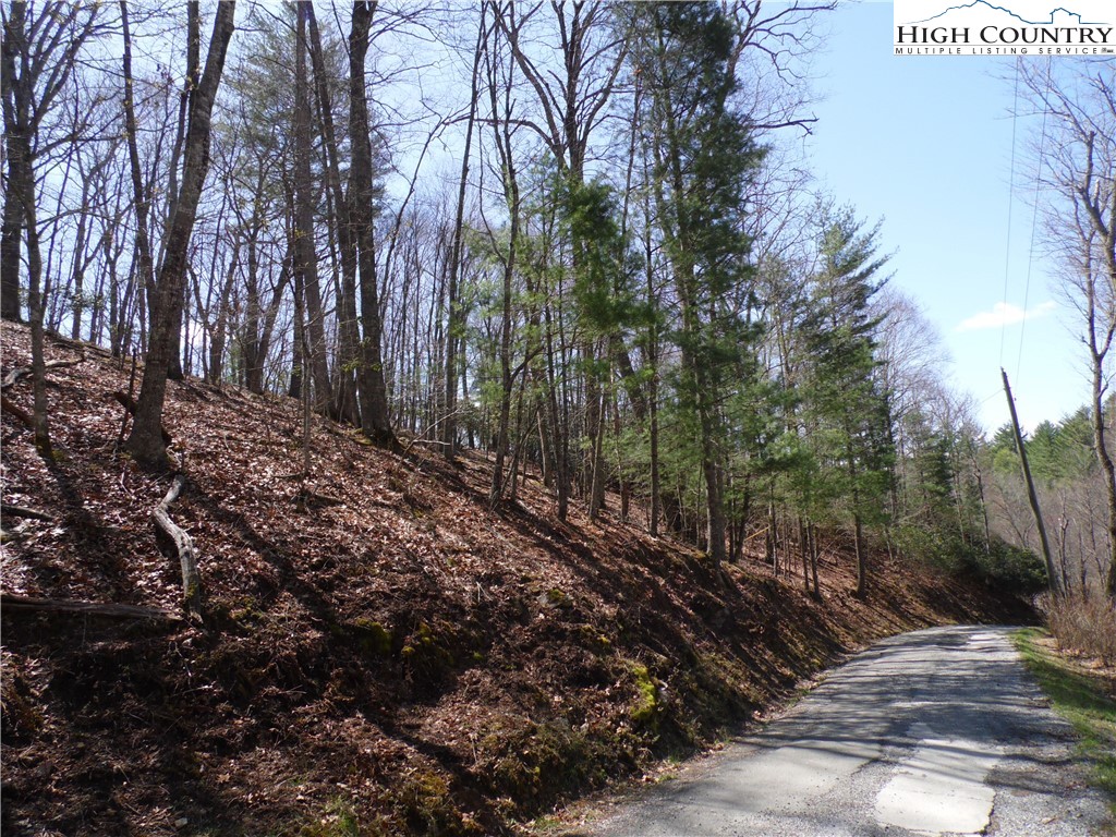 31-32 Happy Ridge Road, Unit 3132 Grassy Creek, NC 28631 - Photo 10 of 14