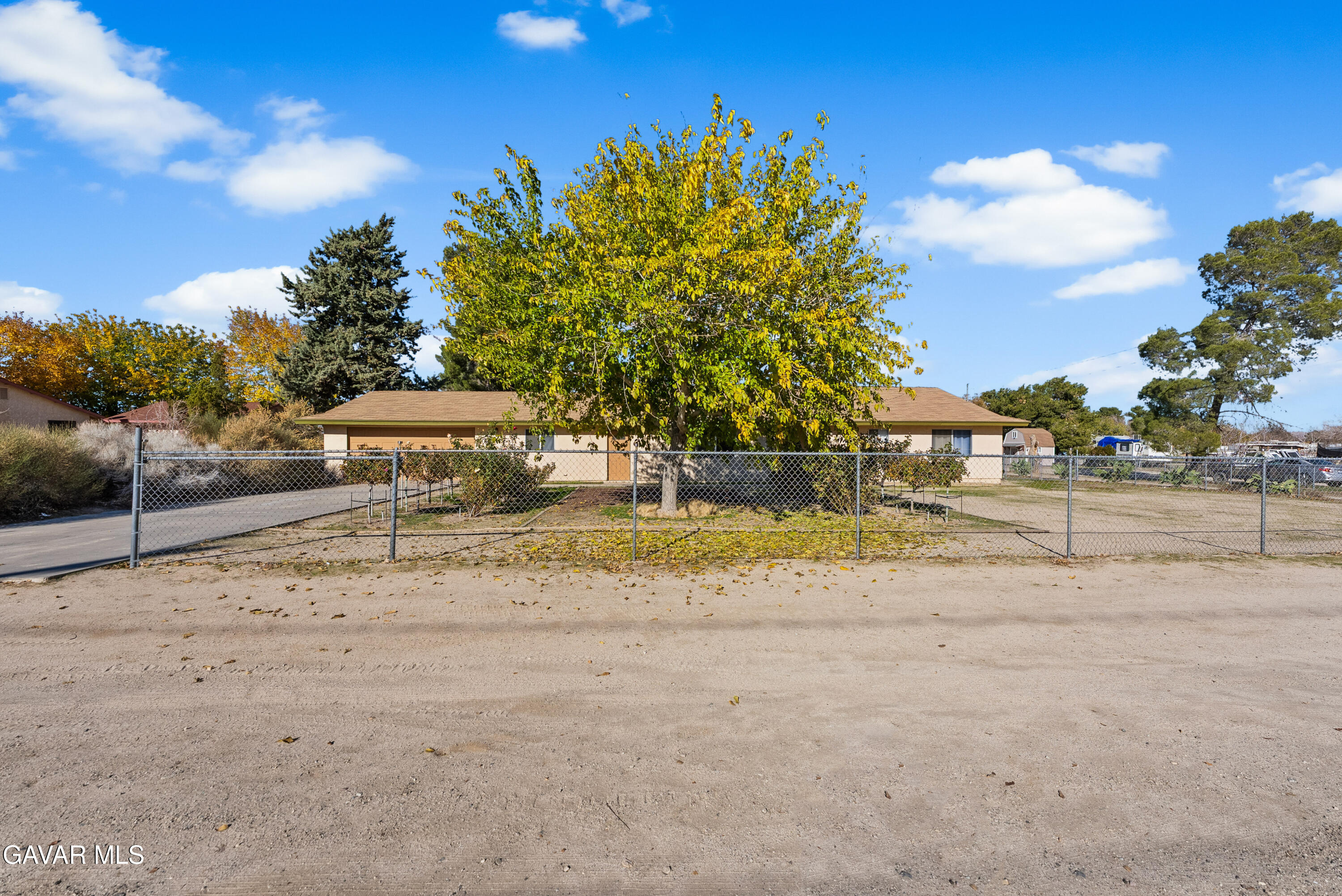 a view of yard with tree s