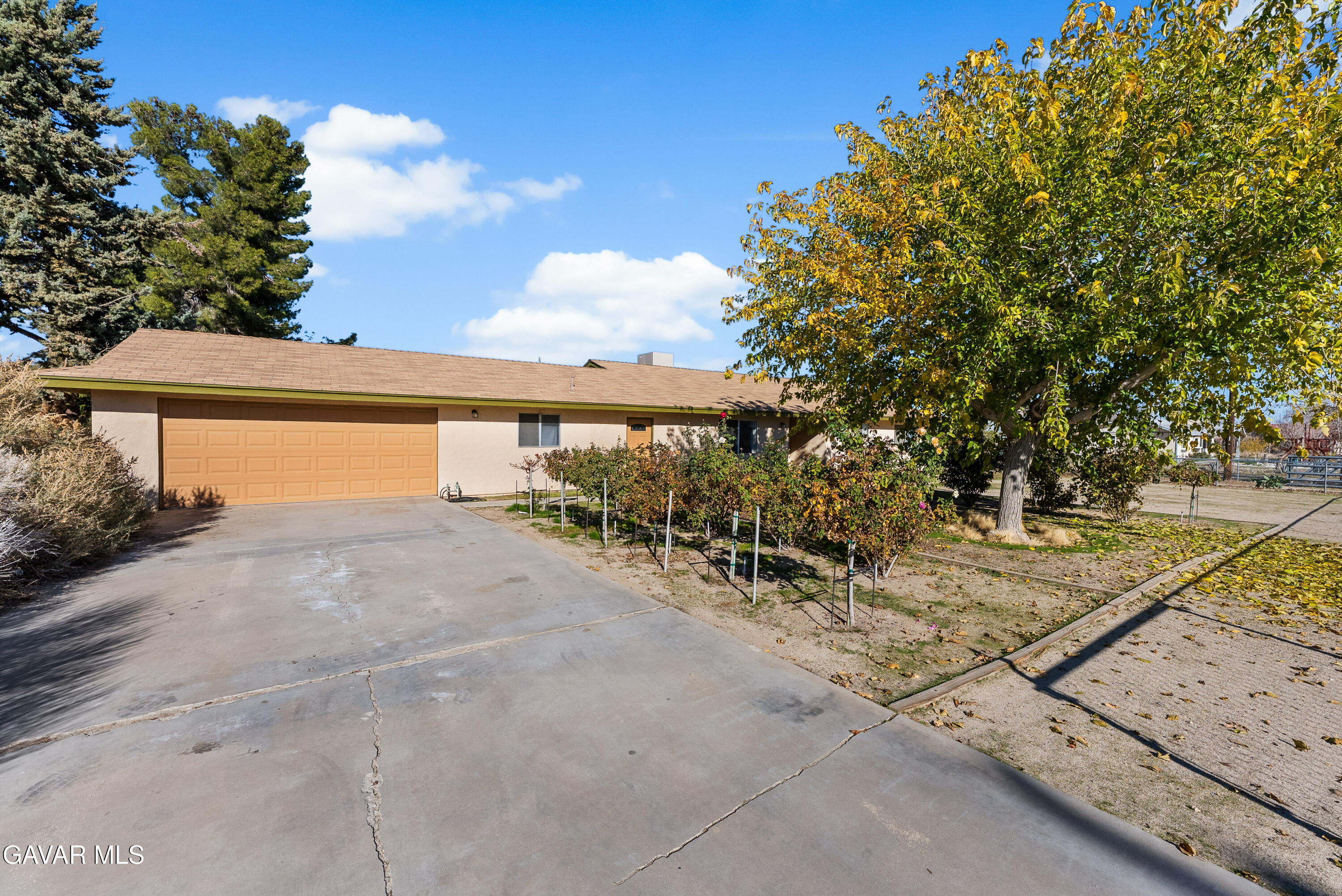 9459 East Ave T 2 Littlerock, CA 93543 - Photo 2 of 54 a view of a large yard with large trees