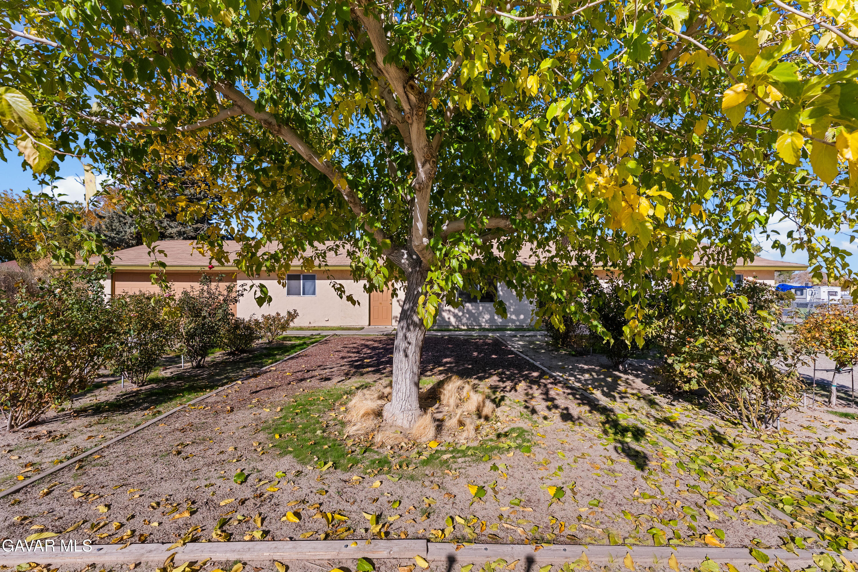 9459 East Ave T 2 Littlerock, CA 93543 - Photo 9 of 54 a view of a park with large trees