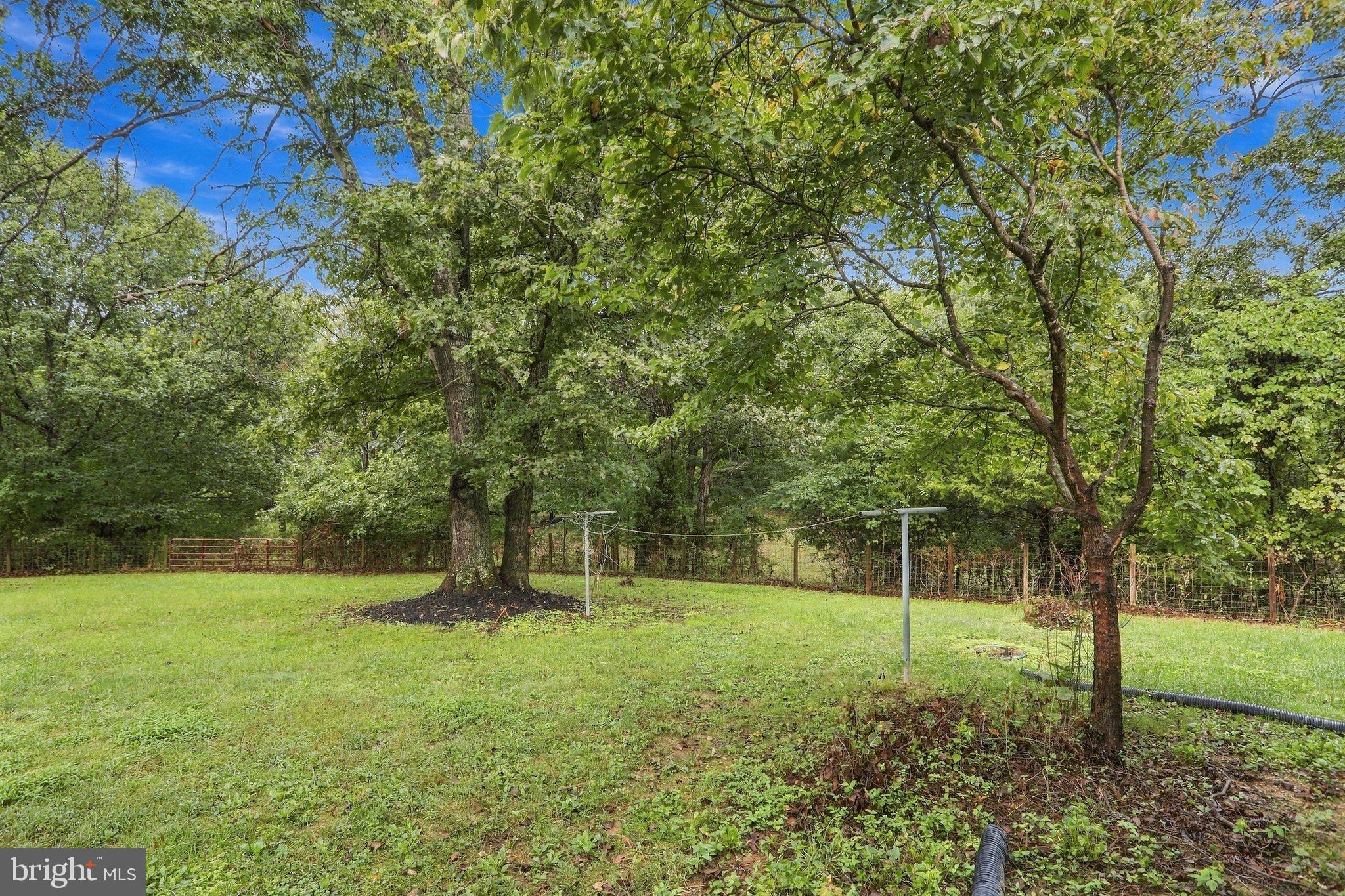 455 Mountain Road Front Royal, VA 22630 - Photo 58 of 62 Gallery Image 58
