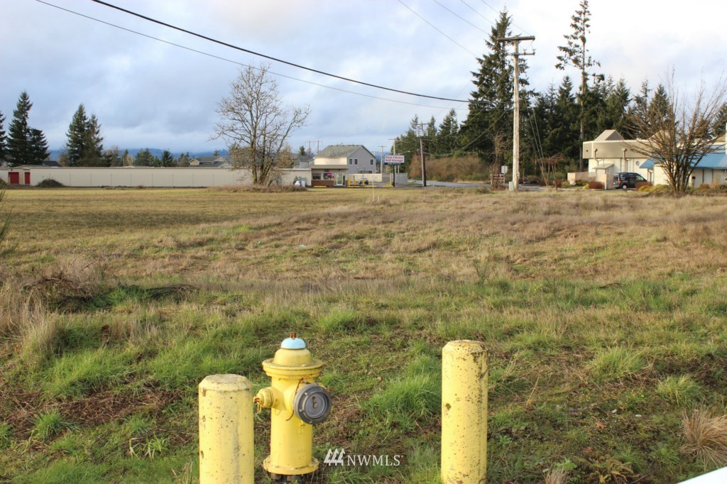 19989 Old Highway 99 Southwest Rochester, WA 98579 - Photo 2 of 8