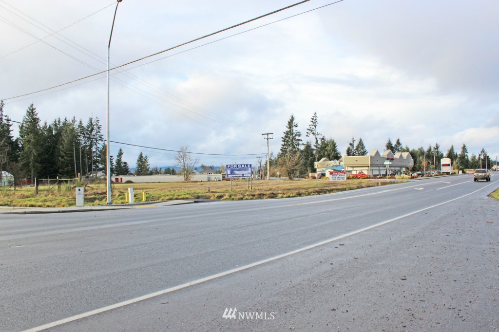 19989 Old Highway 99 Southwest Rochester, WA 98579 - Photo 4 of 8