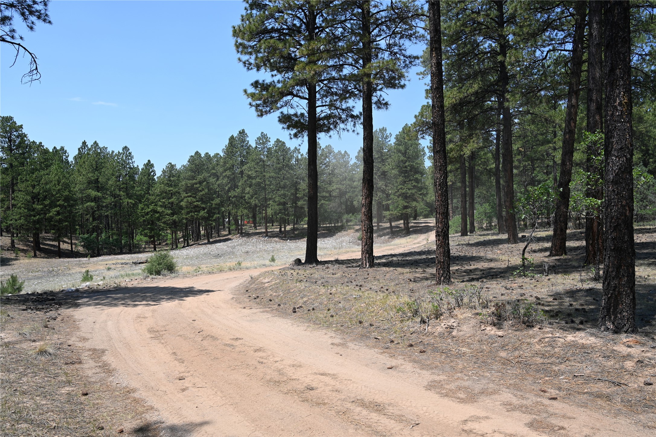 0 The Forks Road Chama, NM 87520 - Photo 13 of 25 Gallery Image 13