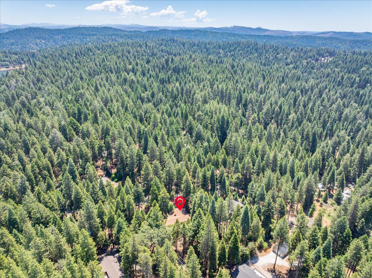 2226 Blair Road Pollock Pines, CA 95726 - Photo 48 of 58