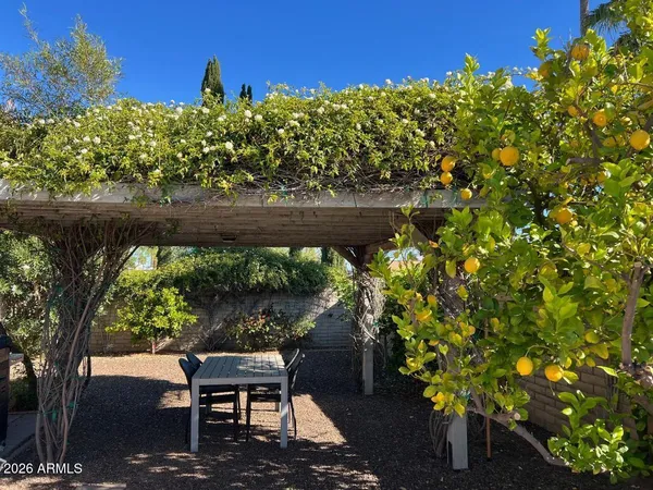 an aerial view of residential houses with outdoor space and river