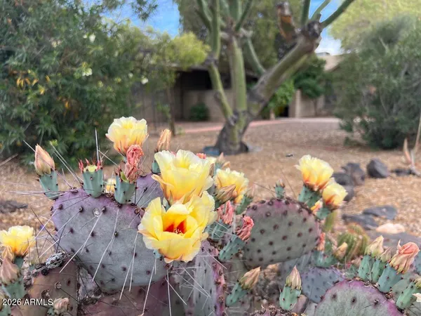 $834,900 | 10049 North 25th Place, Phoenix, AZ 85028