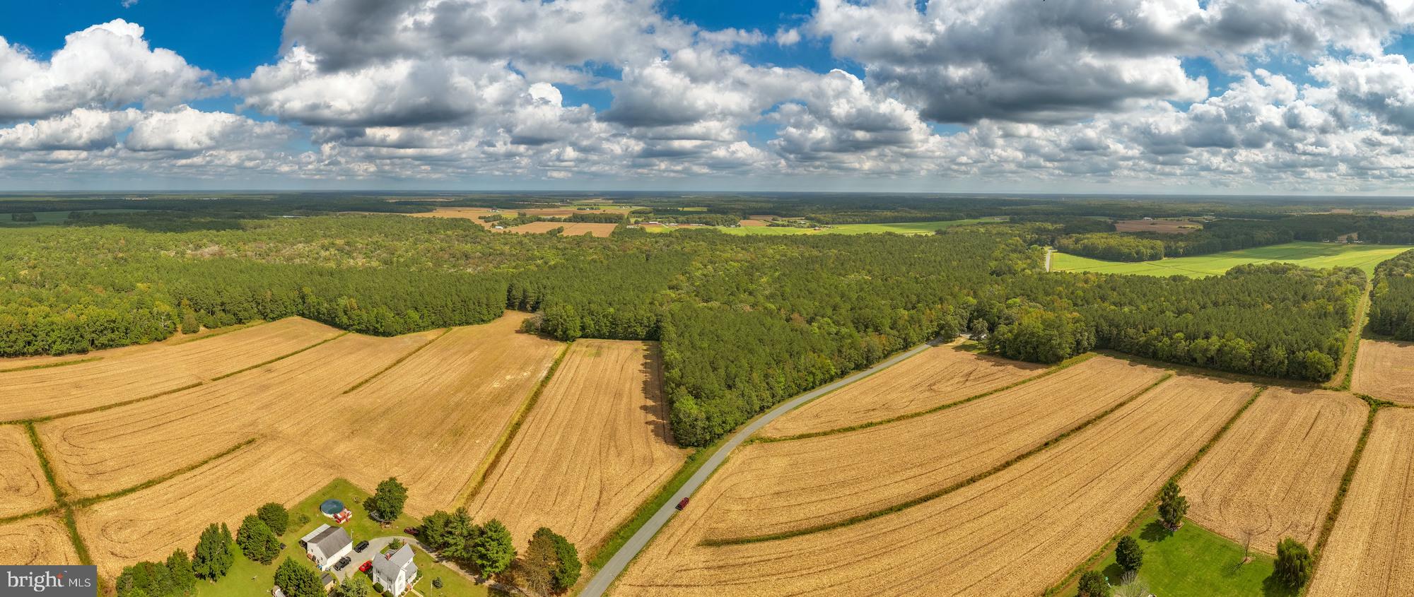 0 Bob Smith Road Parsonsburg, MD 21849 - Photo 12 of 13